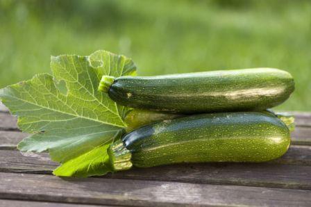 Organic Dark Green Zucchini, Curcurbita pepo